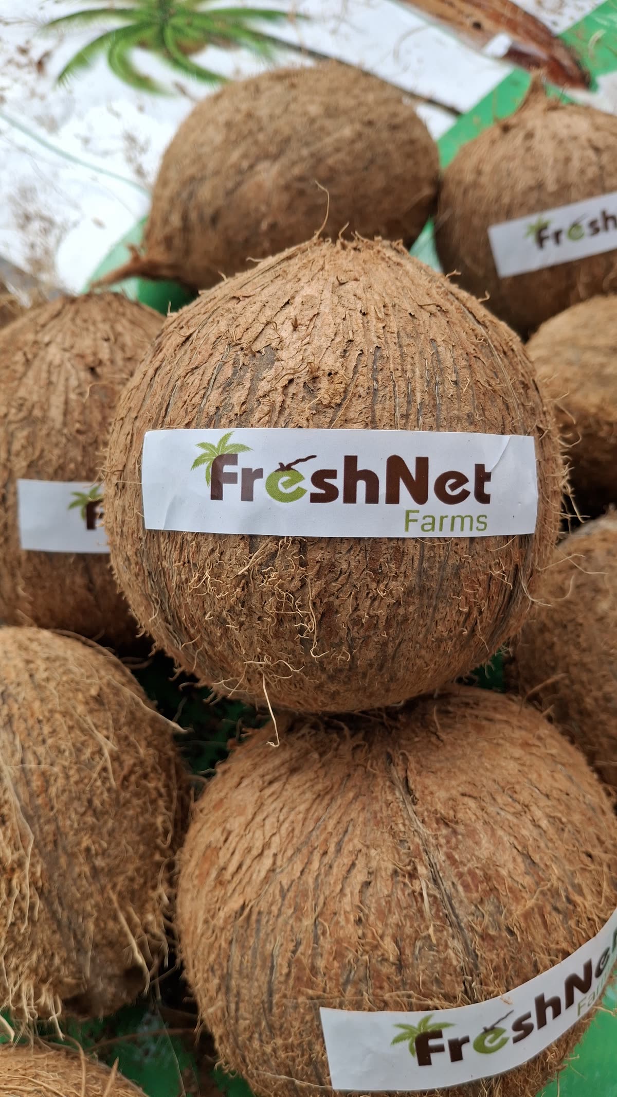 Semi-husked coconut with the FreshNet Farms label